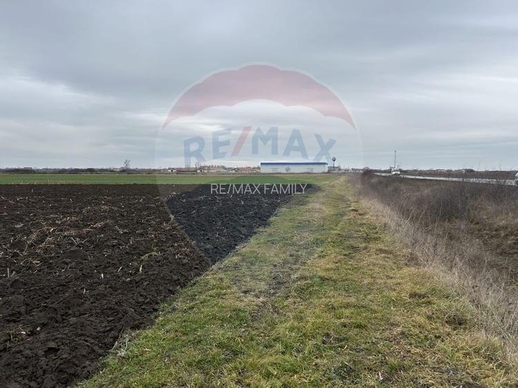 Teren intravilan 80500mp. aproape de nodul rutier de pe DX Oradea-Arad - 9