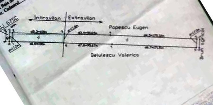 TEREN INTRAVILAN ȘI EXTRAVILAN BAIA DE FIER - 9