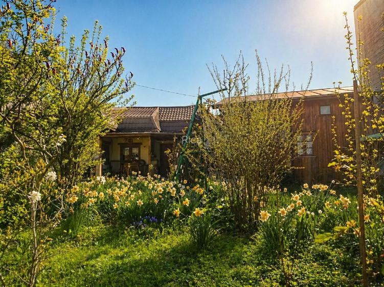 Casă cu 2 locuințe, centrală, garaj și grădină, teren 415 mp, Mezeș/Șos Chitilei - 5