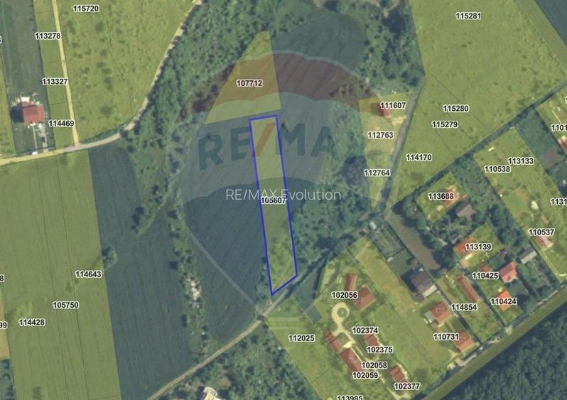 Teren 3000 mp în Snagov – zonă in dezvoltare, aproape de pădure - 10