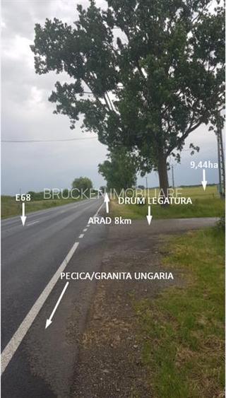 TEREN CU POTENTIAL INDUSTRIAL/ SERVICII | 9,44 HA | ARAD, PECICA - 5