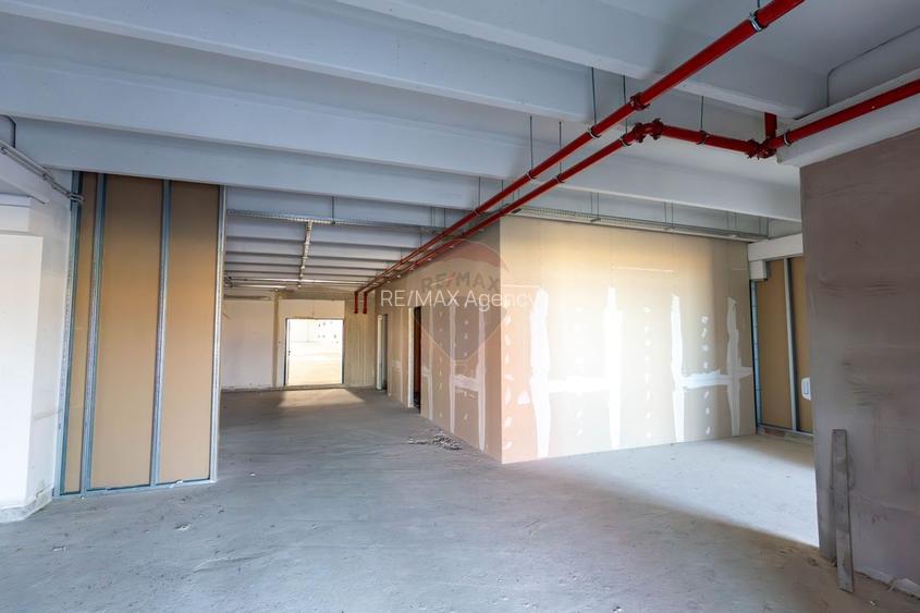 Spațiu industrial de 20,569mp de vânzare - 6