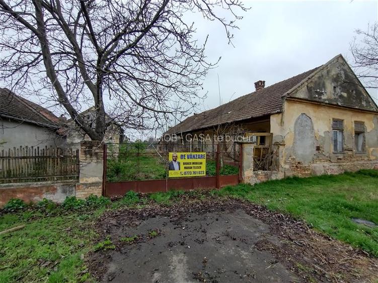 Iecea Mare - Timis, Casa cu Gradina, 1800mp Teren, Pret Negociabil - 28