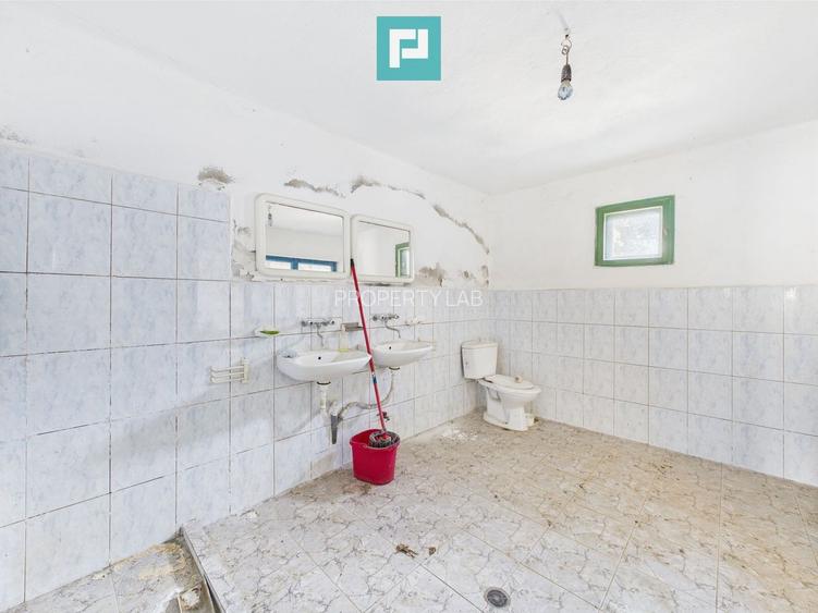 Clădire cu 5 camere cu teren și hală în Cenad - 12