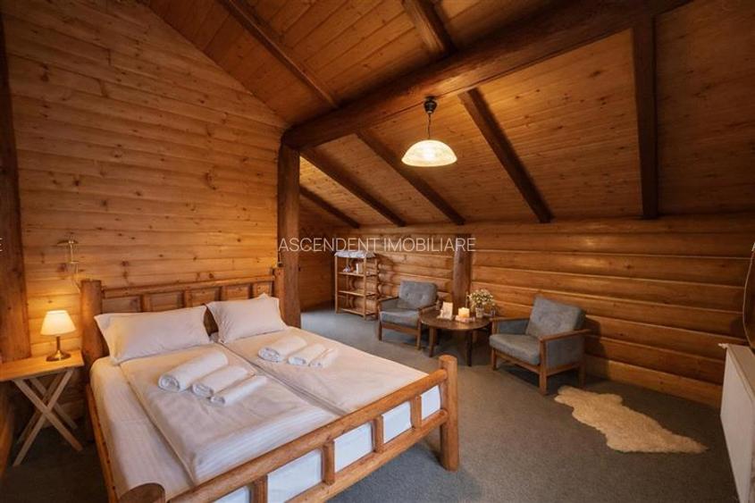 Resedinte montane,mobilate,echipate, jacuzzi,piscina,pretios areal,Sambata de Su - 20
