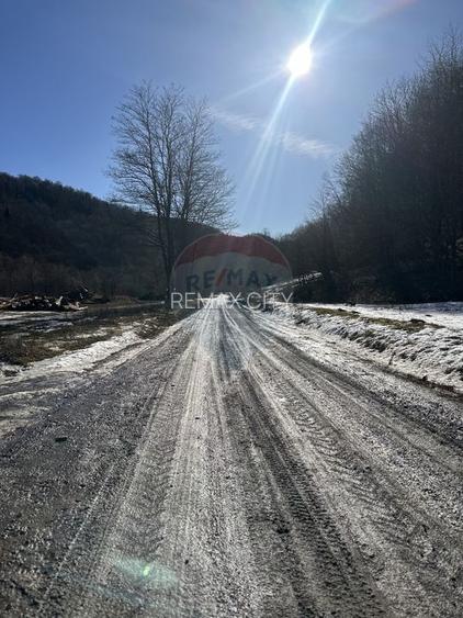 Teren 1,340mp Cuejdiu / Strada Cuejdiului - 5