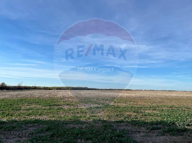 Teren de vanzare 17500 mp, Paulesti, deschidere 27 m la DN1,  Ploiesti - 7