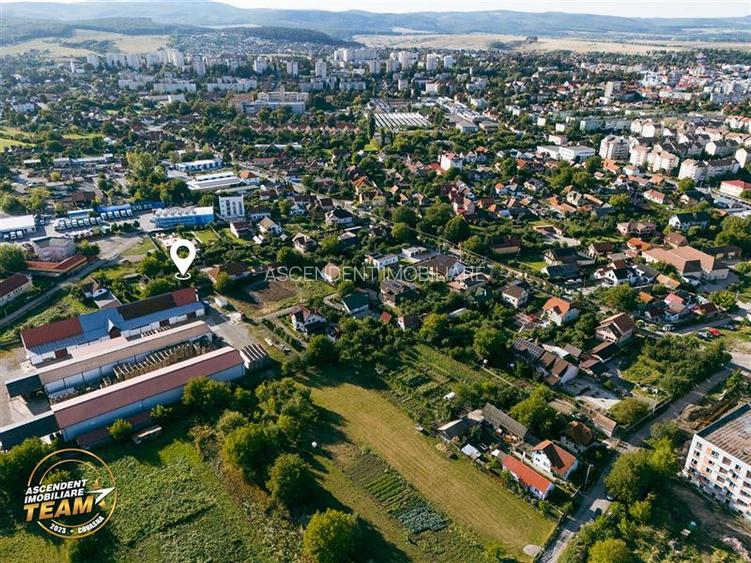 FILM! Casuta cu peste 800mp teren, areal estimabil, Lenin, Sfantu Gheorghe - 6