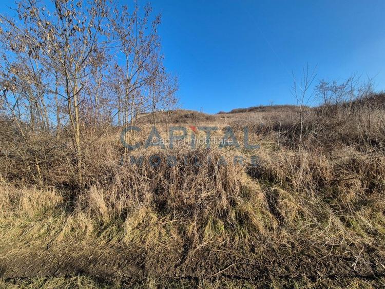 Teren intravilan, 1 000 mp, zona Tausor - 6