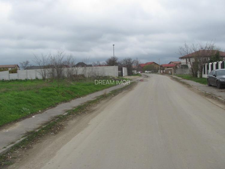 Cornetu - Crizantemelor, Stradal - 3