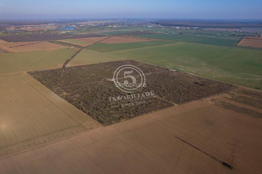 Ocazie- Teren Intravilan de Vanzare- Peris Snagov- Doar 10 euro/mp - 13