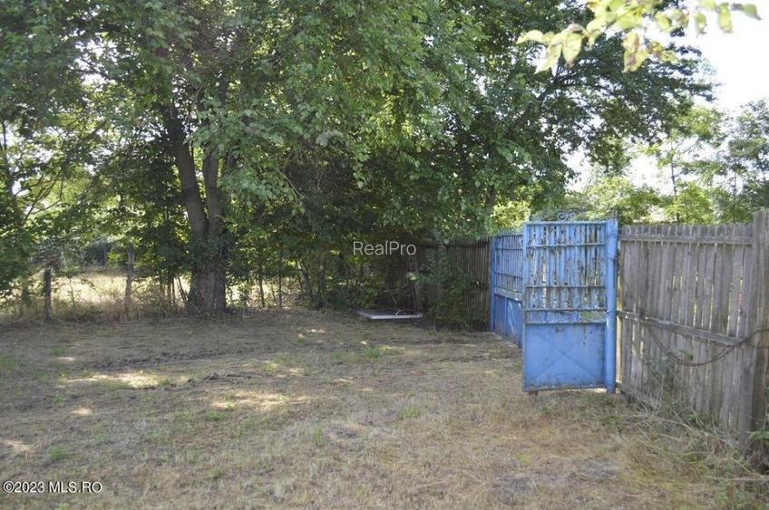 Suseni - Teren intravilan cu casa batraneasca, plan, suprafata 4700 mp! - 3