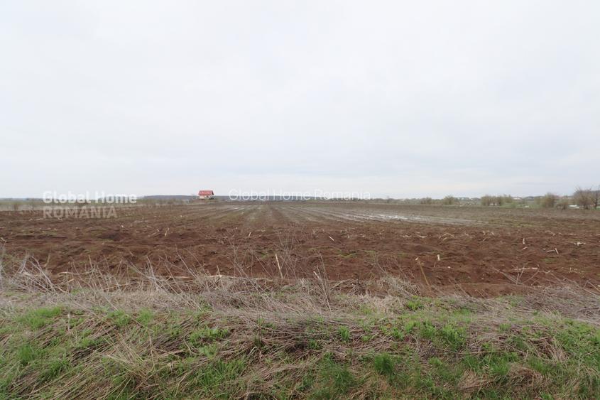 Teren 4000 mp lângă Pădurea Petrești | Investiție dezvoltare | Corbeanca - 7