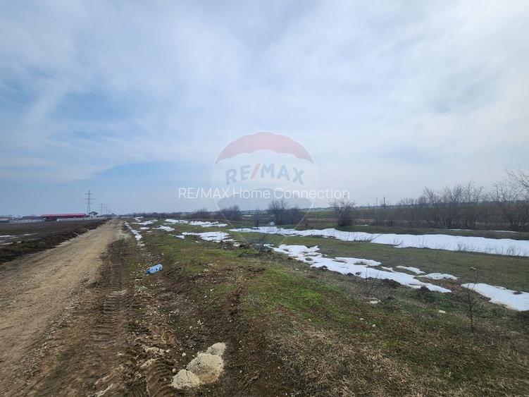 Teren intravilan 3,4 Ha Ciorogarla str.  Nicolae Iorga - 6