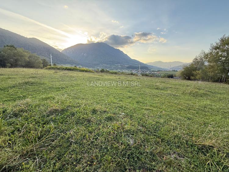 Teren intravilan 500 sau 1000 mp Bran-Tohanita la dum asfaltat - 16