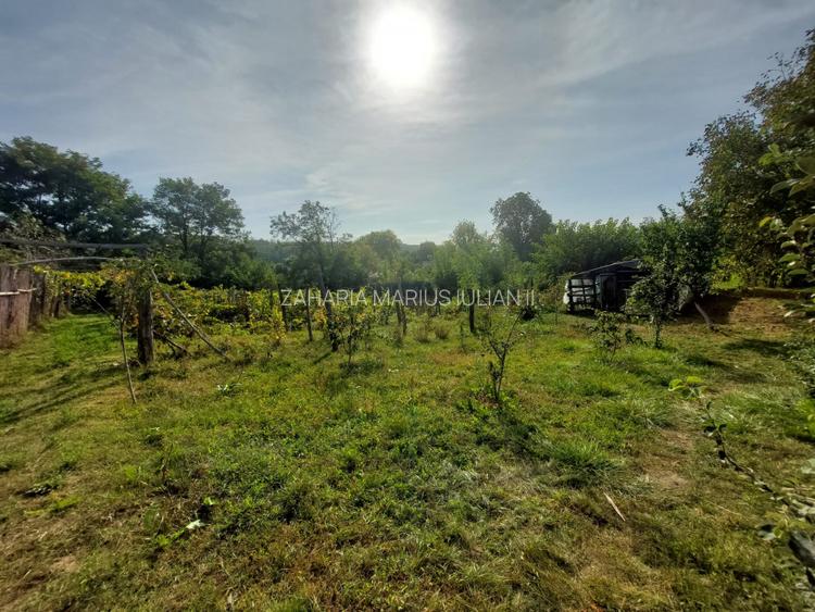 PROPRIETATE SUPERBA IN BIBIRESTI - 7