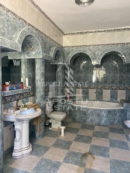 Doua case in aceeași curte - 11