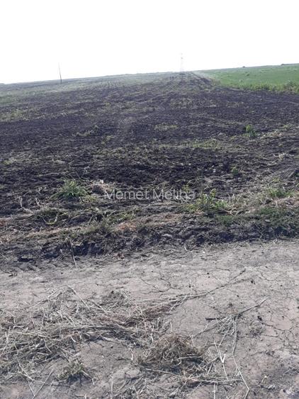 Vand teren extravilan comuna Agigea - 2