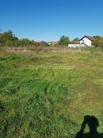 Teren Intravilan Becicherecu Mic In Vatra Satului,1000 mp,Fs. 14m - 4