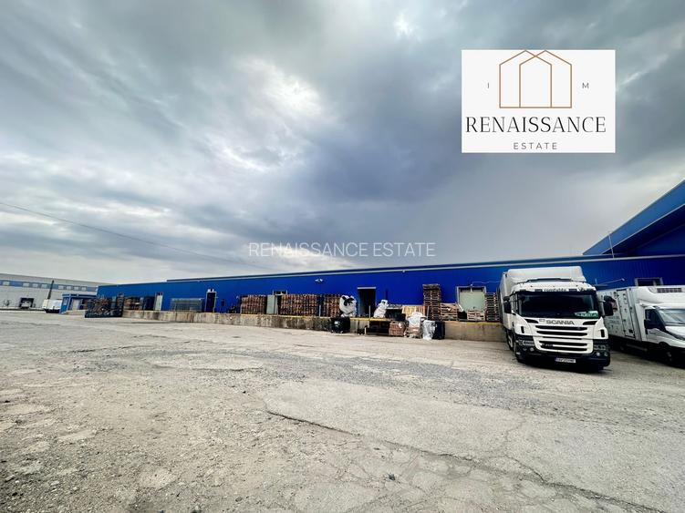 3 Hale Clasa A | 11.250mp Construiti 25.450mp Teren | Freidorf - 11