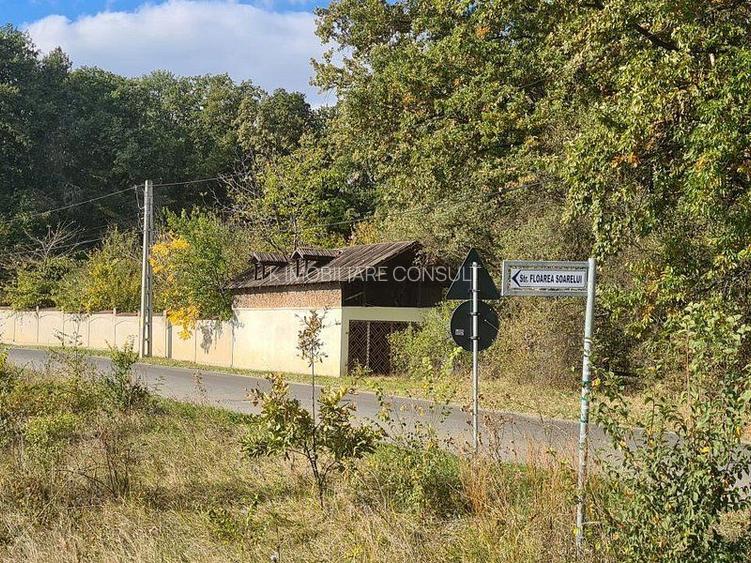 Corbeanca Padure 721 mp - 3