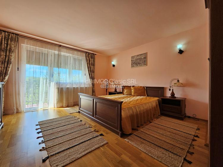Locatie premium cu 2 constructii || Acces direct din DN71 – Dealu Mare, Dambovit - 5