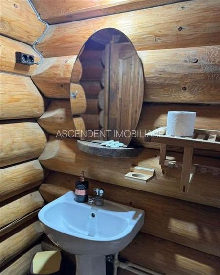 Resedinte montane,mobilate,echipate, jacuzzi,piscina,pretios areal,Sambata de Su - 19