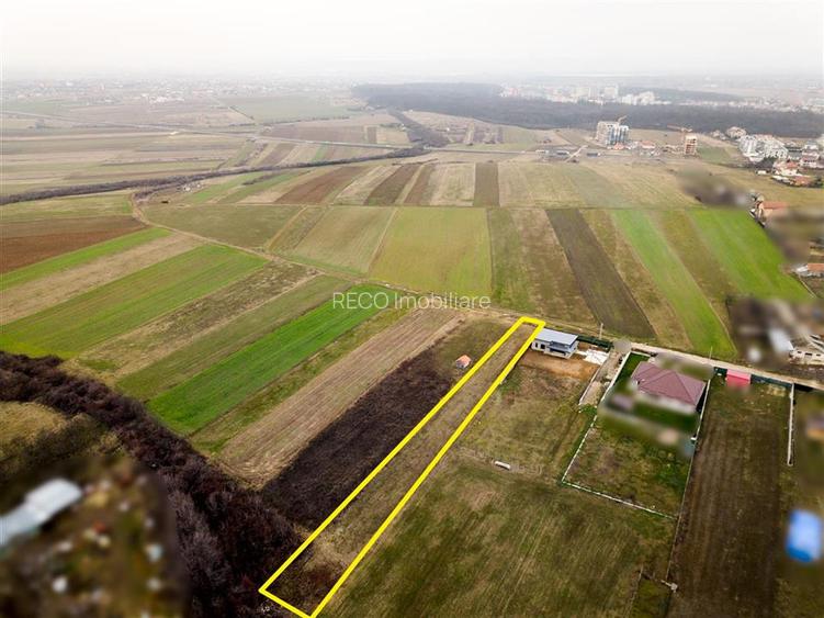 RECO teren Cordau - 7