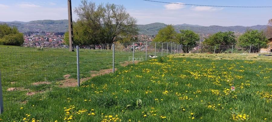 Teren Campina varful Muscel - 5