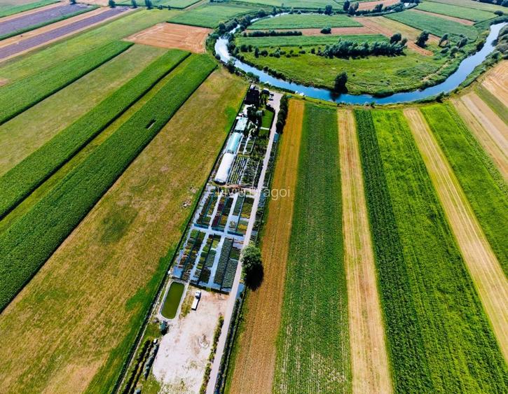 Domeniu privat pe malul lacului – 12.500 mp – Natura Parc – Ideal Resort / HoReC - 2