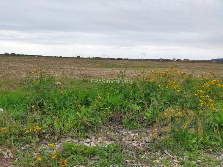 Teren Osorhei, Str. 610 - 6