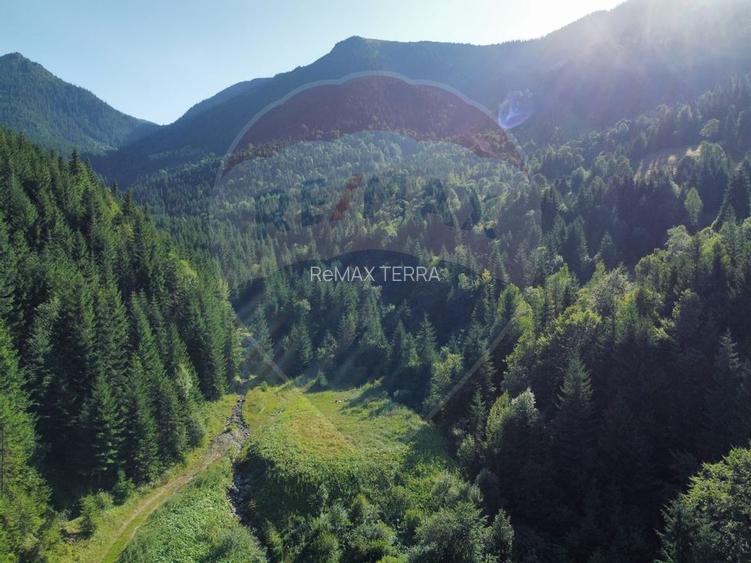 Teren 2,895mp Strada Priseci acces auto in zona telecabina BORSA - 3