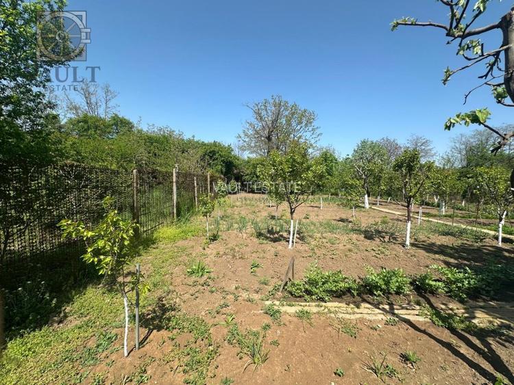 Casa -  Mogosoaia - Individuala -  - 15