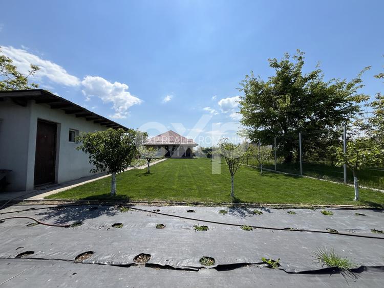 De vanzare casa parter teren generos in apropiere de padure Gradistea - 15