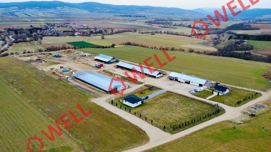 Ferma complet echipată de 22 de hectare de vânzare în Zoltan! - 4