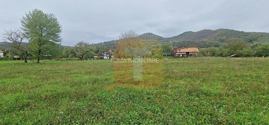 Teren intravilan de vânzare – 1.350 mp – Comuna Alexandru cel Bun - 6