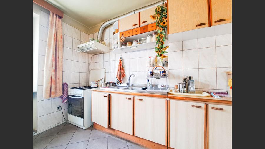 Comision 0%! Casa individuala, teren 994 mp, zona Calea Dumbravii - 19