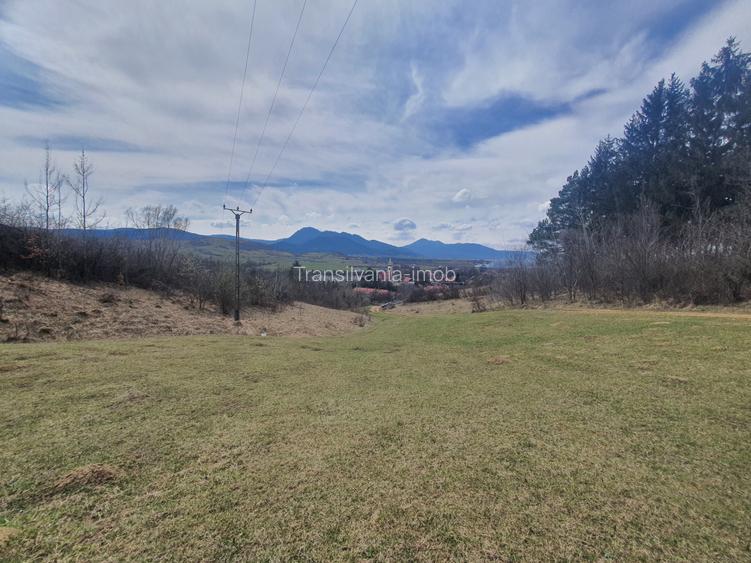 Teren Tarlungeni pretabil investitie 3,5 euro/mp - 2