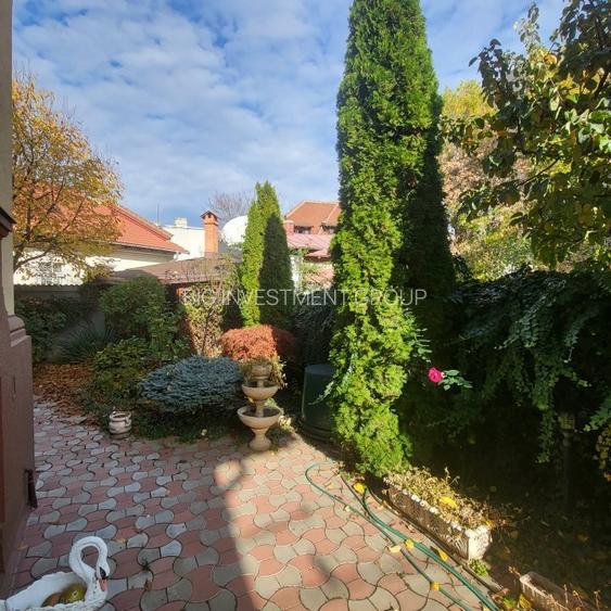 Vila boiereasca, superba, strada, linistita, nelipita de vreun alt imobil - 7