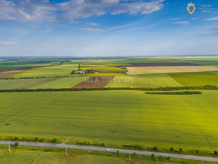 Teren Extravilan Arad de vanzare - 17