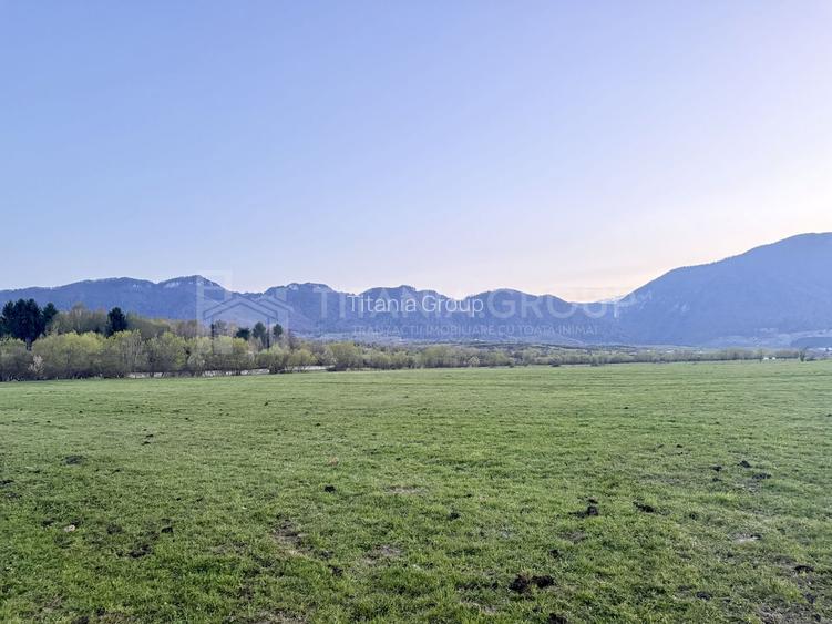 Teren intravilan, 7838 mp, cu priveliște superbă spre munți – Zărnești - 8