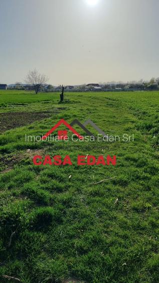 Teren extravilan in Urleta--5000m--18.500e - 4