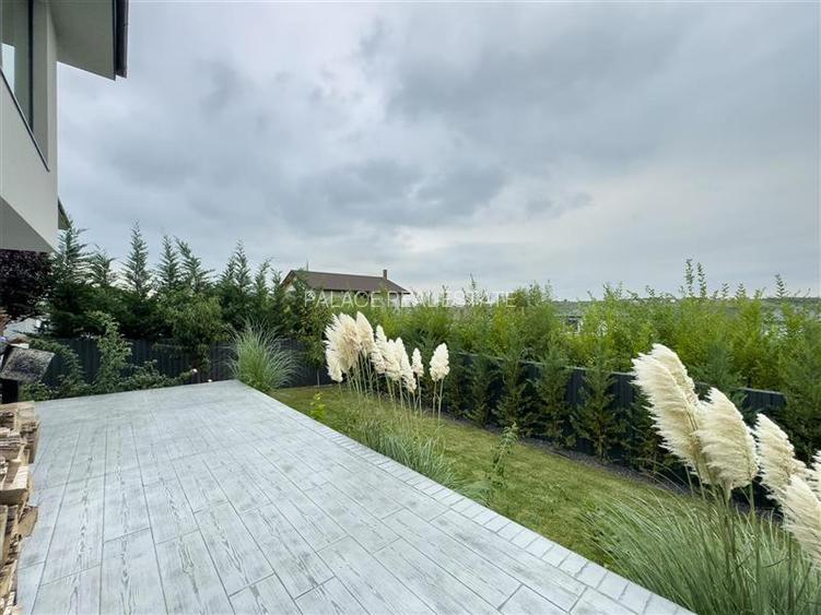 Vila individuala de vanzare in Visan ,eleganta, confort si panorama spectaculoas - 32