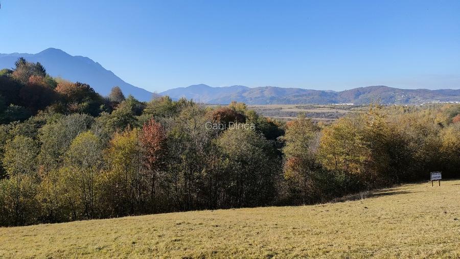 Teren de vânzare Bran Tohanita!  - 4