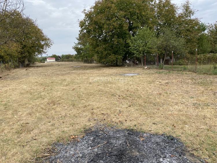 Particular Izvorani Intravilan - 9