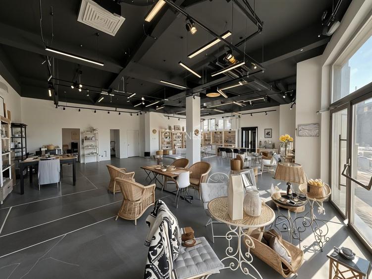 Spatiu comercial 150 mp Pipera A3 Lemon Racovita front stradal 15 m - 12