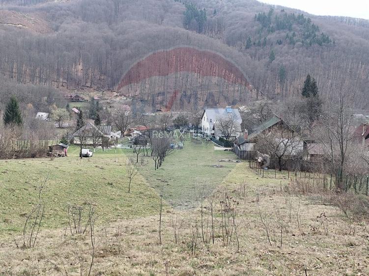 Teren de vânzare în Firiza, Baia Mare - 2