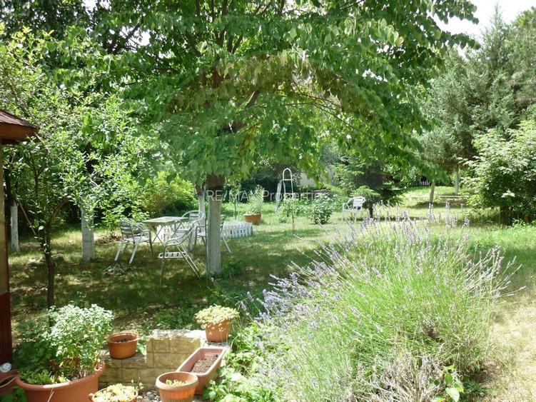 Casa de vacanta langa lacul Snagov / Teren 1922mp / Ciofliceni - 11