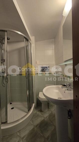 Casa de inchiriat – 5 camere | garaj dublu, curte, sauna | Buna Ziua - 18
