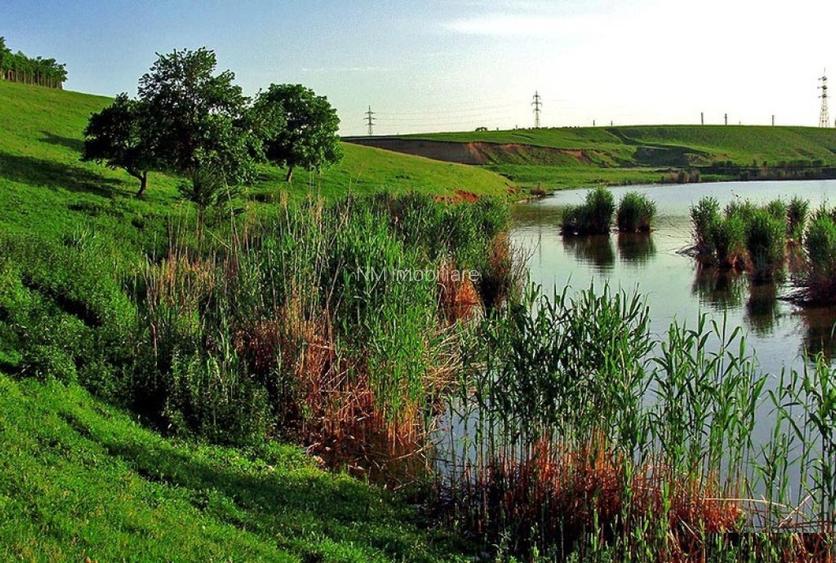 Se vinde una dintre cele mai cunoscute balti de pescuit 38ha de langa Bucuresti - 2